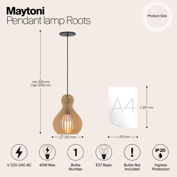 Maytoni - Hanglamp Roots - Zwart - Ø20