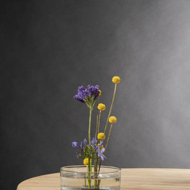 Esschert Design - Ikebana Schaal - Glas - maat L