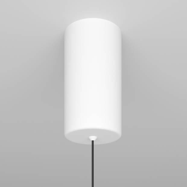 Maytoni Technical - Hanglamp Ray - Wit - Ø3