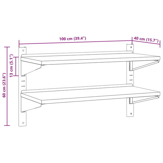 vidaXL Wandschap 2-laags 100x40x60 cm roestvrijstaal zilverkleurig