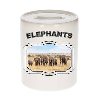 Dieren liefhebber olifant spaarpot - olifanten cadeau - Spaarpotten