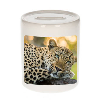 Foto luipaard spaarpot 9 cm - Cadeau jaguars/ luipaarden liefhebber - Spaarpotten