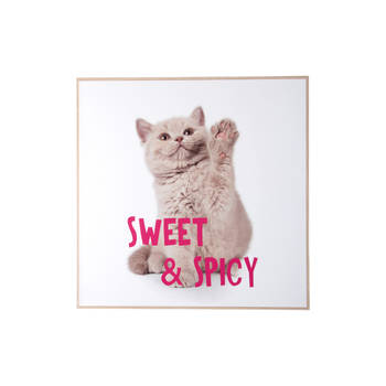 Present Time - Wall Art Kitten Sweet & Spicy - Multicolor