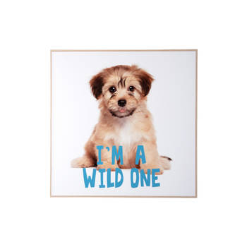 Present Time - Wall Art Puppy I'm A wilde One - Multicolor