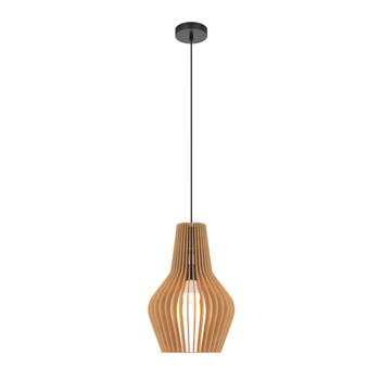 Maytoni - Hanglamp Roots - Zwart - Ø30