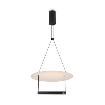 Maytoni - Hanglamp Ambience - Zwart - Ø42