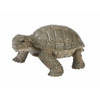 Plastic schildpad 14 cm - Speelfigurenset