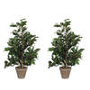 2x Groene ficus kunstplanten 65 cm - Kunstplanten