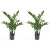 2x Zamioculcas kunstpalmen 70 cm - Kunstplanten