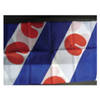 Vlag Friesland 30 x 45 cm