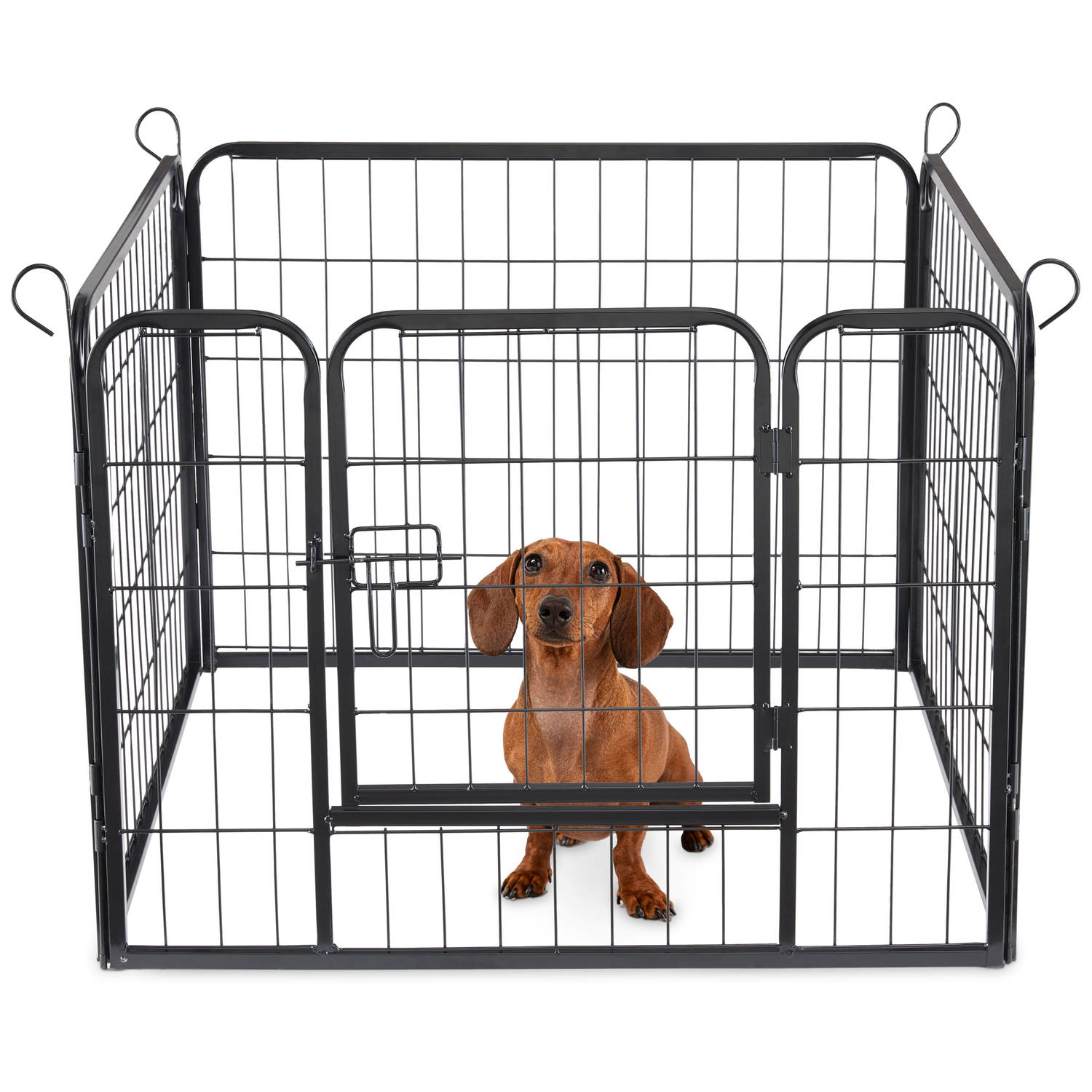 ACAZA Hondenren in 4 panelen - Hondenkennel - Set van Kennelpanelen - Puppyren - Opvouwbaar - Met deur - 60 cm hoog - Zwart