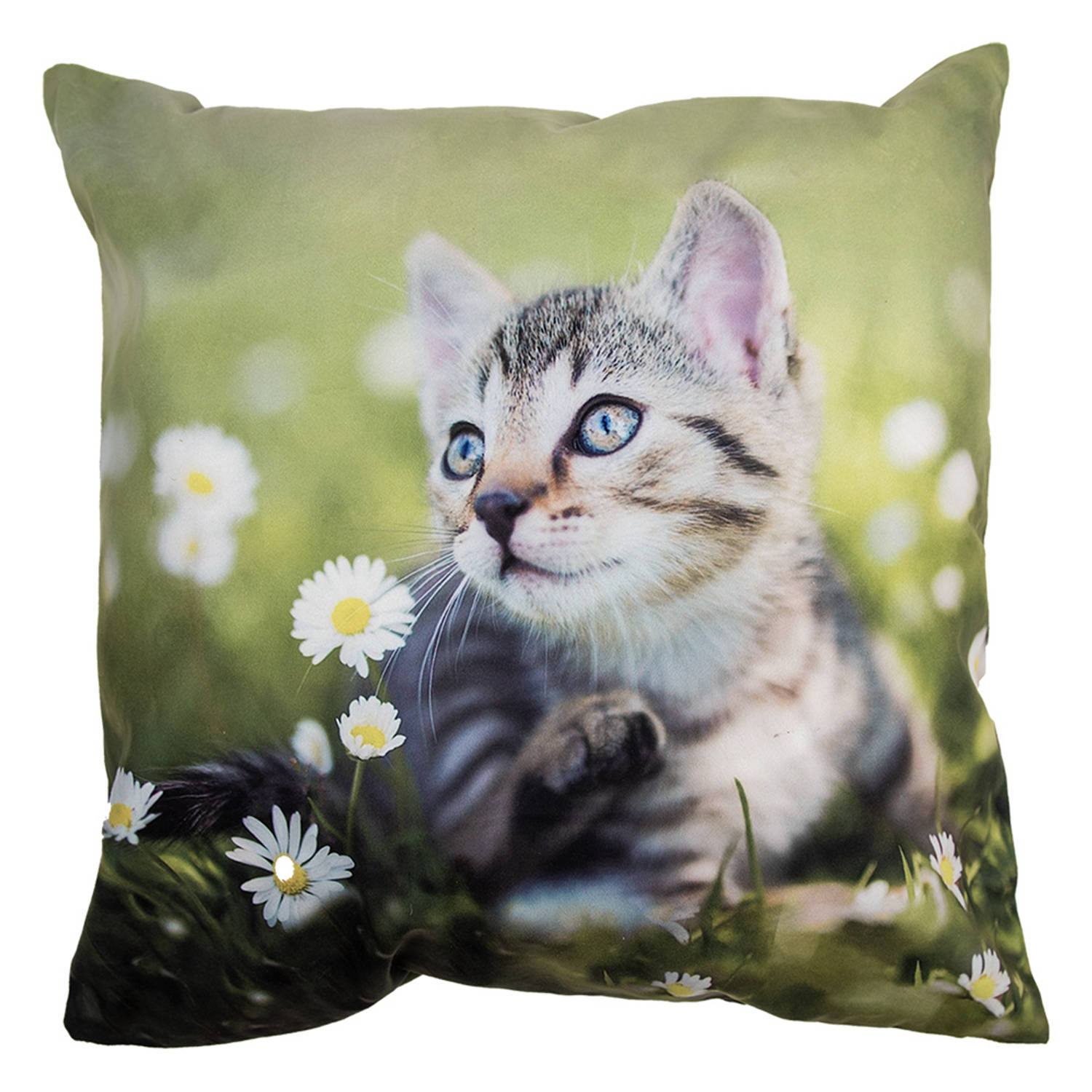 Clayre & Eef Kussenhoes 45x45 cm Groen Polyester Kat Sierkussenhoes