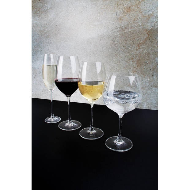 Salt&Pepper Cuvee witte Wijnglas groot - 6 stuks