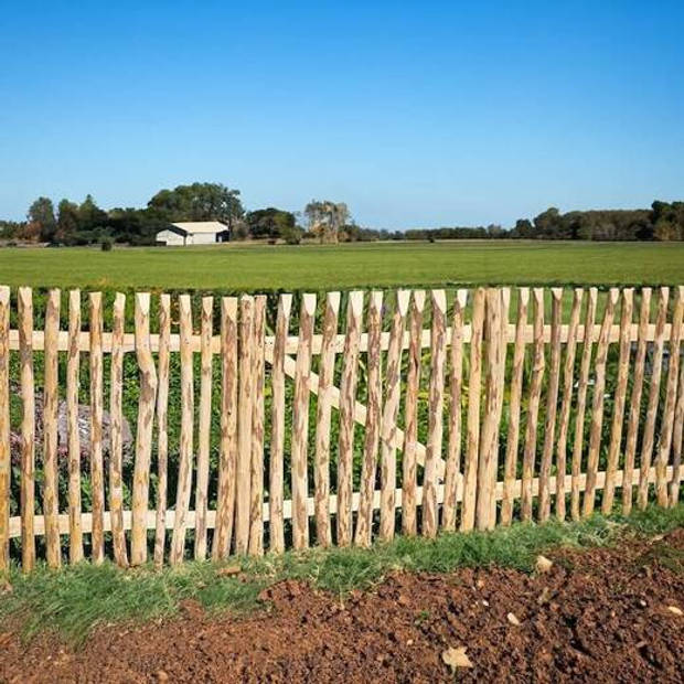 Springos Poort - Schapenhek - Tuinhek - Hazelaarhout - Wicket - 50x100 cm - Bruin