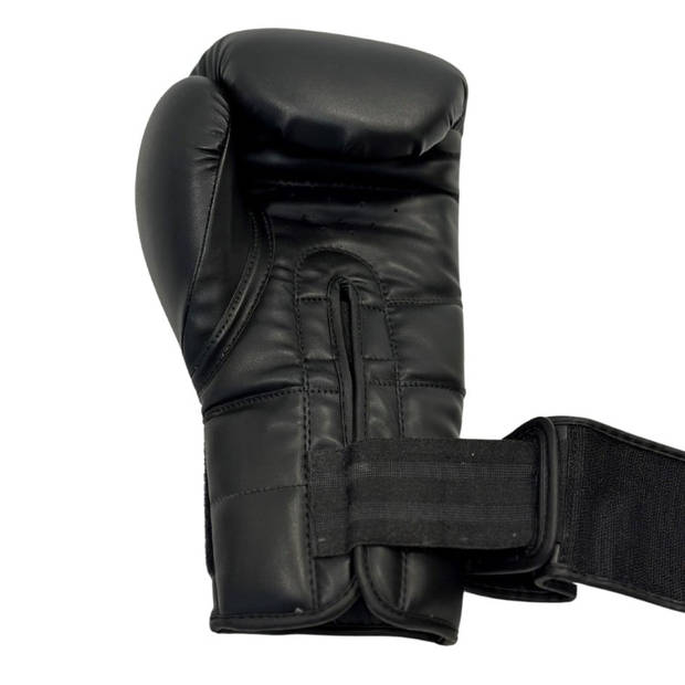 NRG fitness Bokshandschoenen Sparring Kunstleer 10 oz