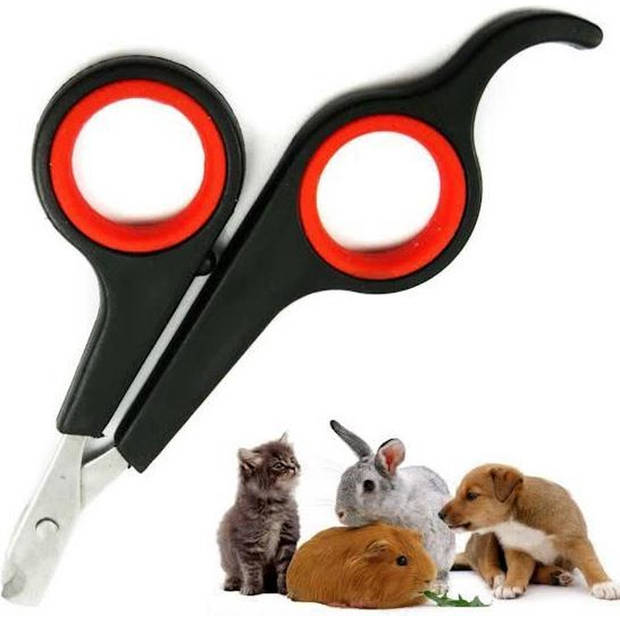 Katten Nagelknipper - Nagelschaar - Dieren nagelschaartje - Geschikt voor de kat