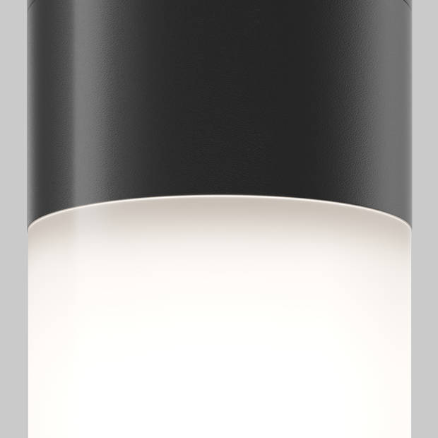 Maytoni Outdoor - Plafondlamp Willis - Zwart - Ø8