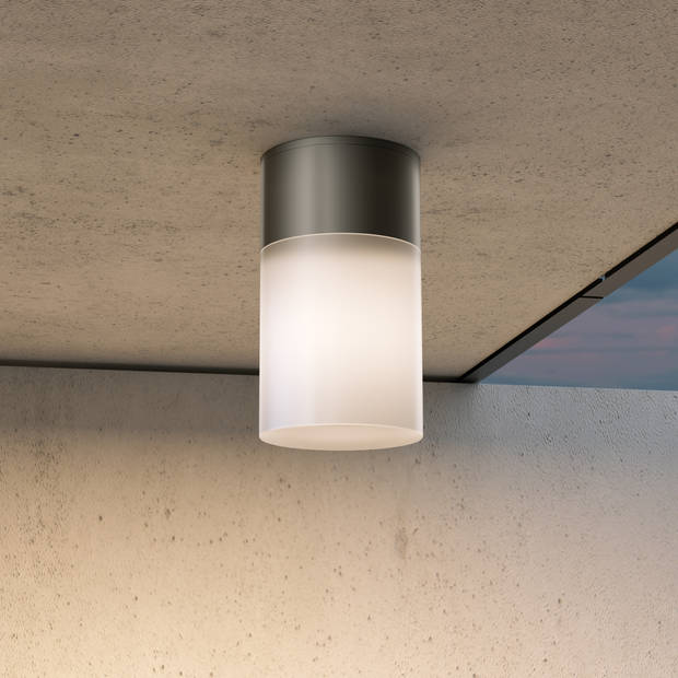 Maytoni Outdoor - Plafondlamp Willis - Zwart - Ø8