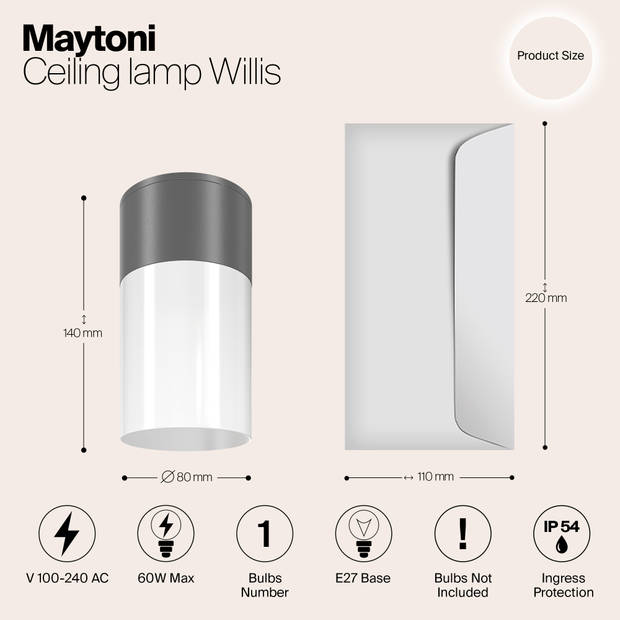 Maytoni Outdoor - Plafondlamp Willis - Grafiet - Ø8