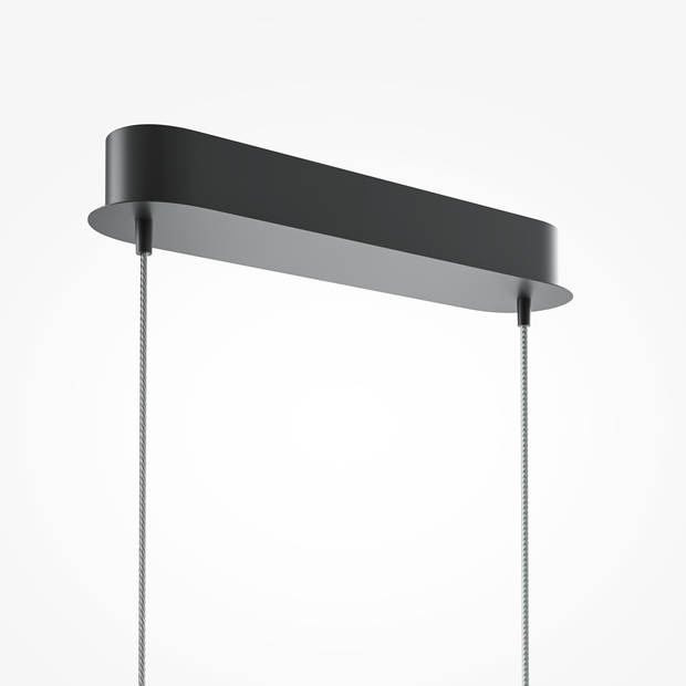 Maytoni - Hanglamp Light Reflection - Zwart