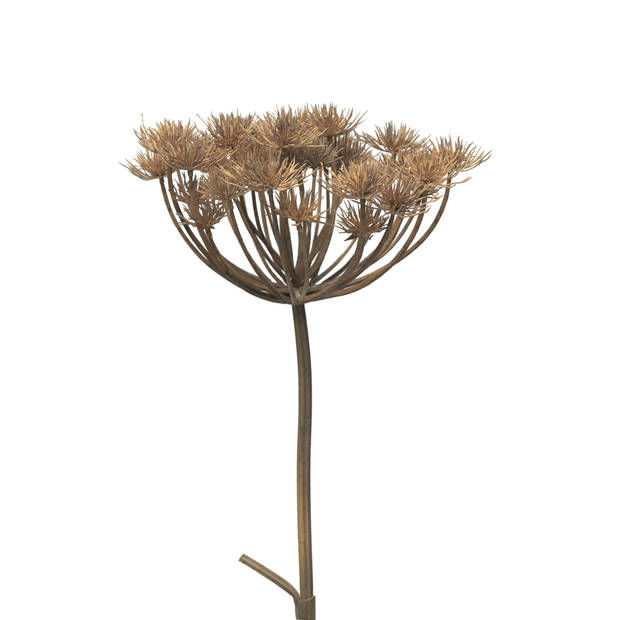 Bellatio Design Kunstbloem/kunsttak Berenklauw/heracleum - 98 cm - losse steel - kunst zijdebloem takken - Kunstbloemen