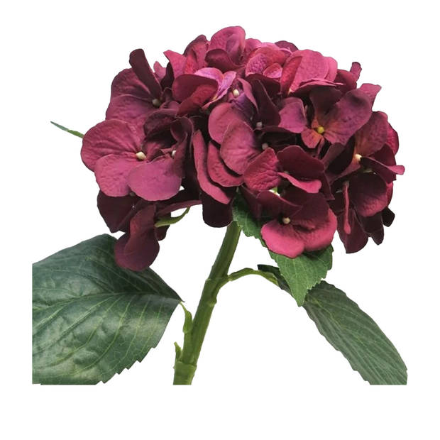 Bellatio Design Kunstbloem Hortensia tak - bordeaux rood - 48 cm - losse steel - Kunst zijdebloemen - hydrangea - Kunstb