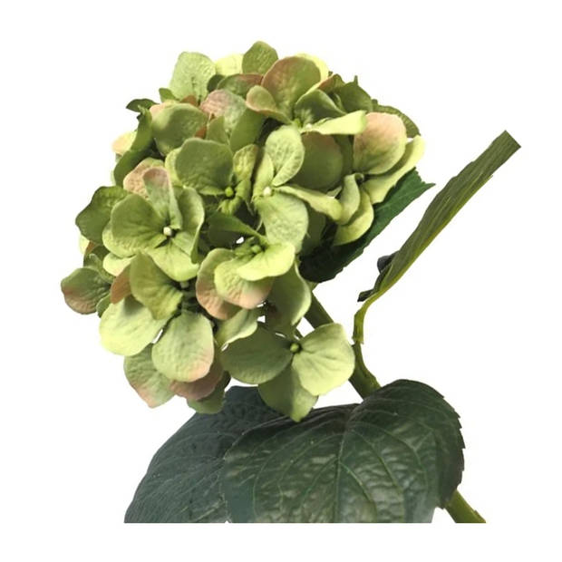 Bellatio Design Kunstbloem Hortensia tak - groen - 48 cm - losse steel - Kunst zijdebloemen - hydrangea - Kunstbloemen