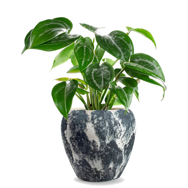 Jodeco Plantenpot/bloempot Marble - wit/zwart - keramiek - D29 x H26 cm - Plantenpotten