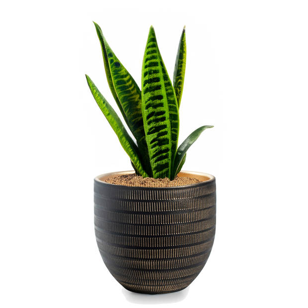 Jodeco Plantenpot/bloempot Beau - zwart/goud - keramiek - D20 x H18 cm - Plantenpotten