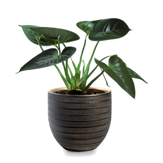 Jodeco Plantenpot/bloempot Beau - zwart/goud - keramiek - D24 x H22 cm - Plantenpotten