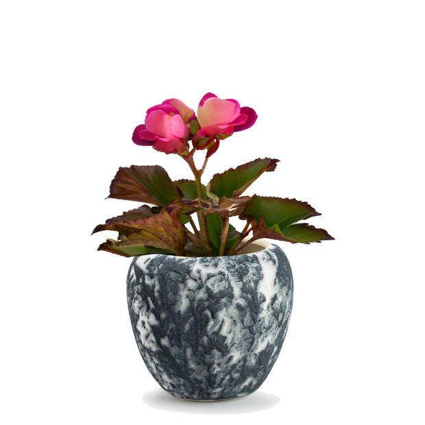 Jodeco Plantenpot/bloempot Marble - wit/zwart - keramiek - D18xH16 cm - Plantenpotten