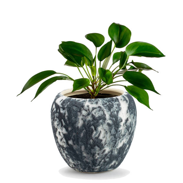 Jodeco Plantenpot/bloempot Marble - wit/zwart - keramiek - D16xH14 cm - Plantenpotten