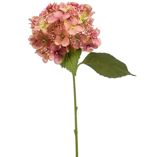 Emerald Kunstbloem hortensia tak - 50 cm - oud roze - kunst zijdebloem - Hydrangea - decoratie bloem - Kunsttakken