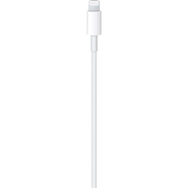 Kabel APPLE USB-C naar Lightning-kabel 2 M