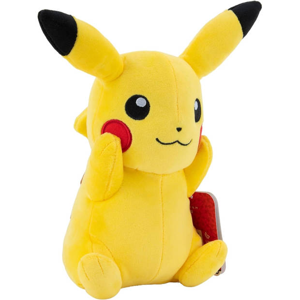 Pokémon Pikachu Pluche Knuffel (20cm)