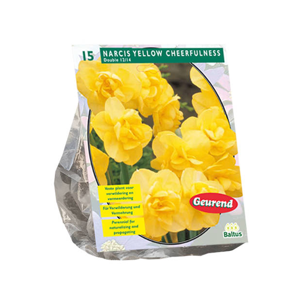 Baltus - Narcis Yellow Cheerfulness per 15 bloembollen