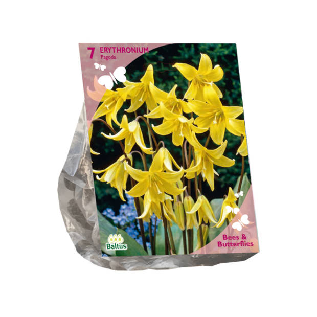 Baltus - Bees & Butterflies Erythronium per 7 bloembollen