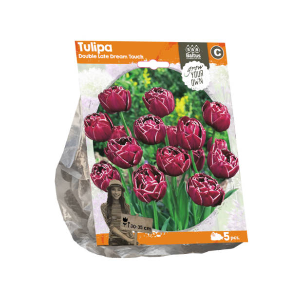 Baltus - Tulipa Double Late Dream Touch per 5 bloembollen