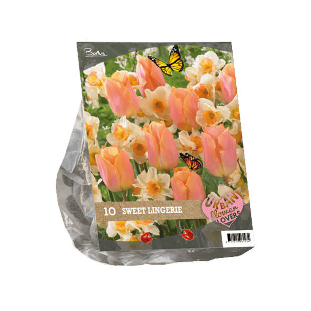 2 stuks - Baltus - Urban Flowers Sweet lingery per 10