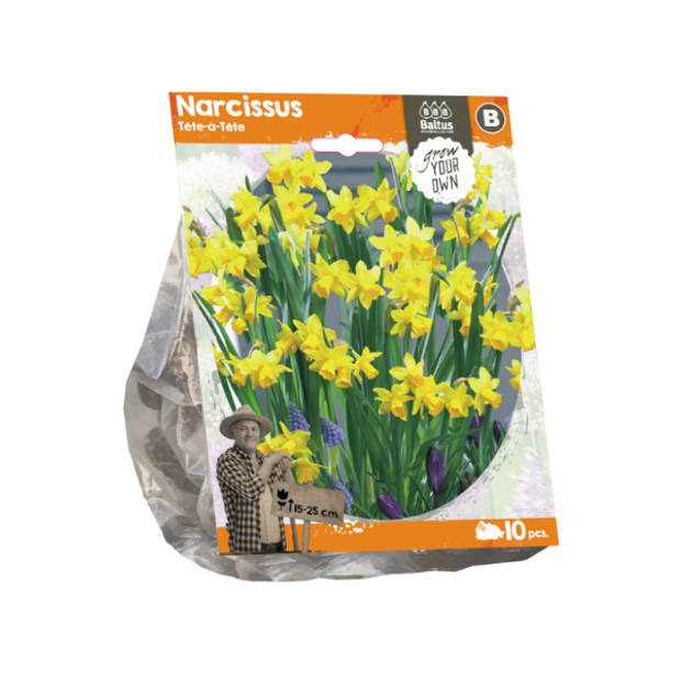 Baltus - Narcissus Tete-a-Tete per 10 bloembollen