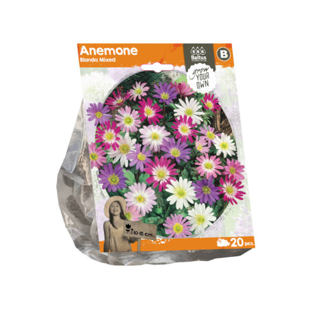 Baltus - Anemone Blanda Mixed per 20 bloembollen