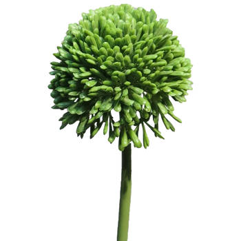 Bellatio Design Sierui Globemaster kunstbloem - losse steel - groen - 44cm - Natuurlijke uitstraling - Kunstbloemen