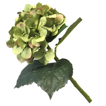 Bellatio Design Kunstbloem Hortensia tak - groen - 48 cm - losse steel - Kunst zijdebloemen - hydrangea - Kunstbloemen