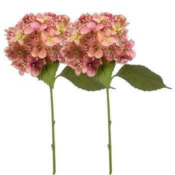 Emerald Kunstbloem hortensia tak - 2x - 50 cm - oud roze - kunst zijdebloem - Hydrangea - decoratie bloem - Kunsttakken