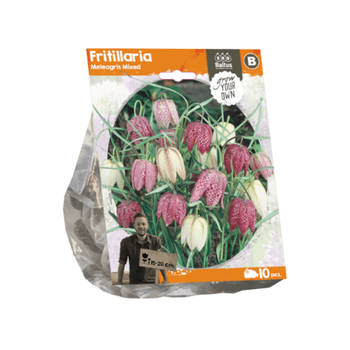 3 stuks - Baltus - Fritillaria Meleagris Mixed per 10