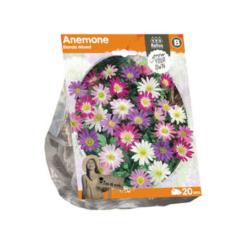 Baltus - Anemone Blanda Mixed per 20 bloembollen