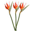 Emerald Kunstbloem Strelitzia - 3x - 85 cm - losse tak - kunst zijdebloem - Paradijsvogelplant - Kunsttakken