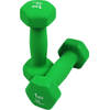 JPS Sports Dumbells- Gewichten - Dumbells 1kg - Dumbells set 2 x 1 kg - Zeshoekig - Duurzaam - Groen