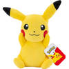 Pokémon Pikachu Pluche Knuffel (20cm)