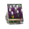 2 stuks - Baltus - Urban Flowers Purple rain per 12